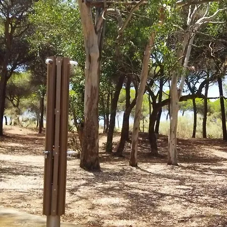 Sol Y Mar * 克莉丝蒂娜岛